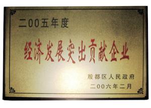 經(jīng)濟發(fā)展突出貢獻(xiàn)